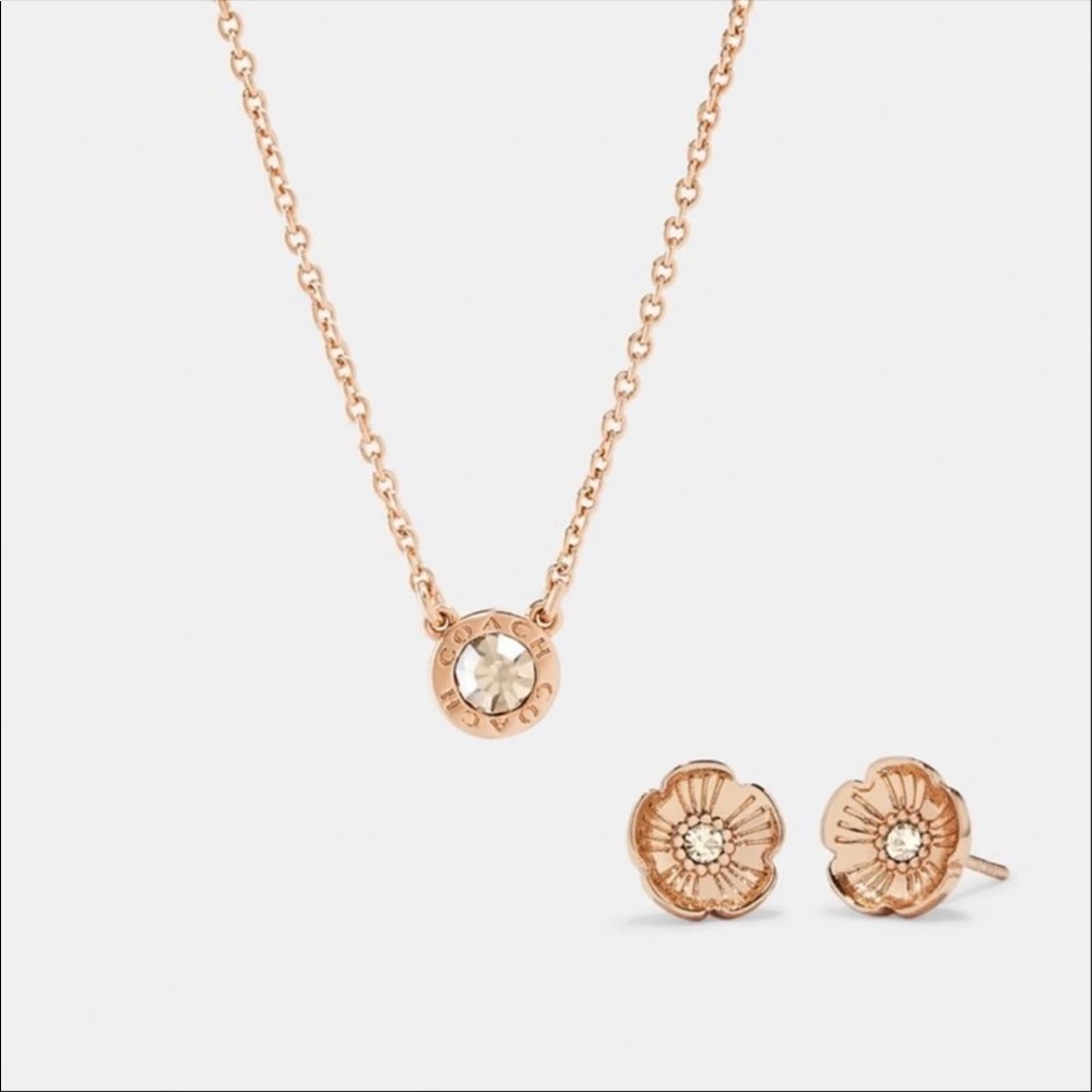 NWT! COACH! Earrings and necklace!